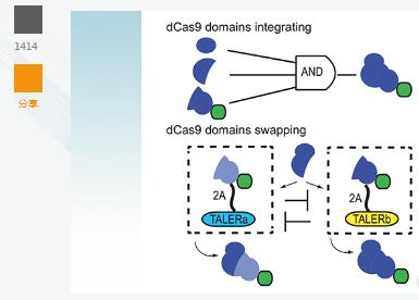 清华谢震研究组在《自然·通讯》发文报道控制Cas9活性的新策略