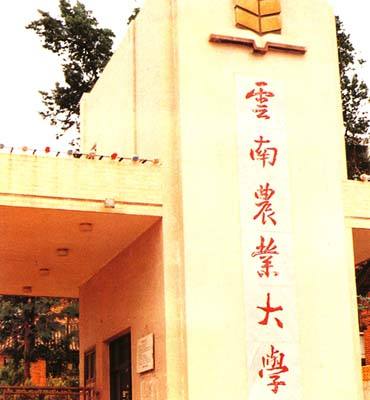 ​考云南在职农业硕士一般选云南农业大学？