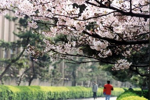 中国海洋大学2018年 MBA教育中心硕士研究生招生复试考试大纲