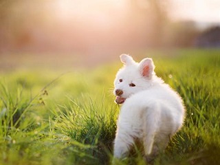 律师怎么考在职研究生比较好?