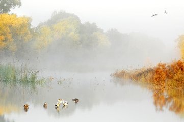 中国社会科学院美学在职研究生有哪些课程?