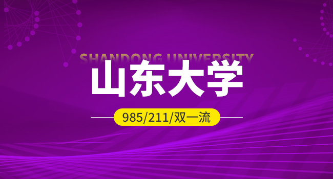 2025年山东大学硕士研究生《841-文物综合》考试大纲